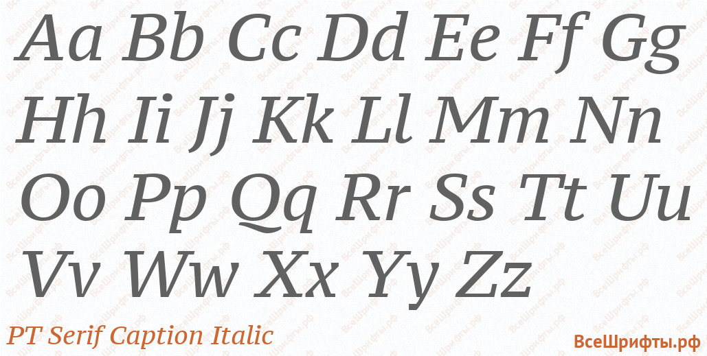 Шрифт PT Serif Caption Italic с латинскими буквами Шрифт PT Serif Caption Italic с латинскими буквами