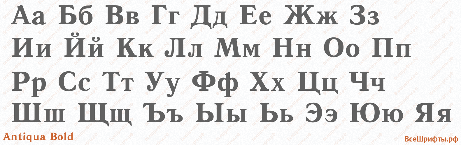 Шрифт Antiqua Bold с русскими буквами Шрифт Antiqua Bold с русскими буквами