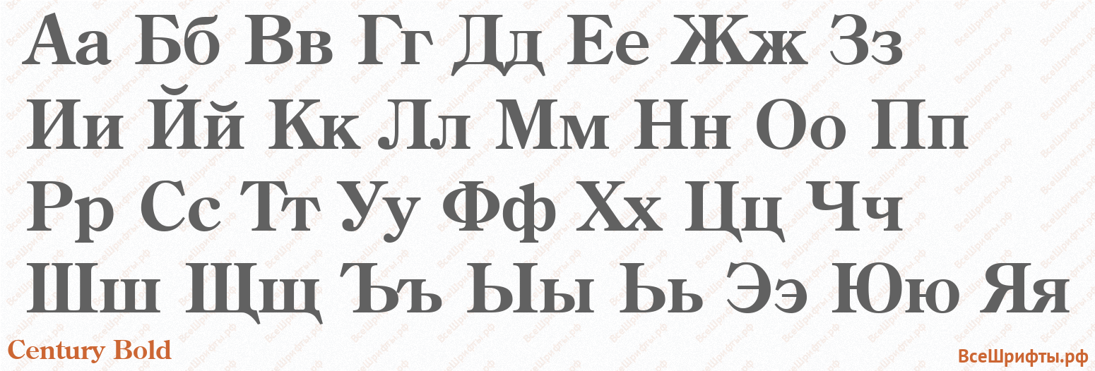 Шрифт Century Bold с русскими буквами Шрифт Century Bold с русскими буквами
