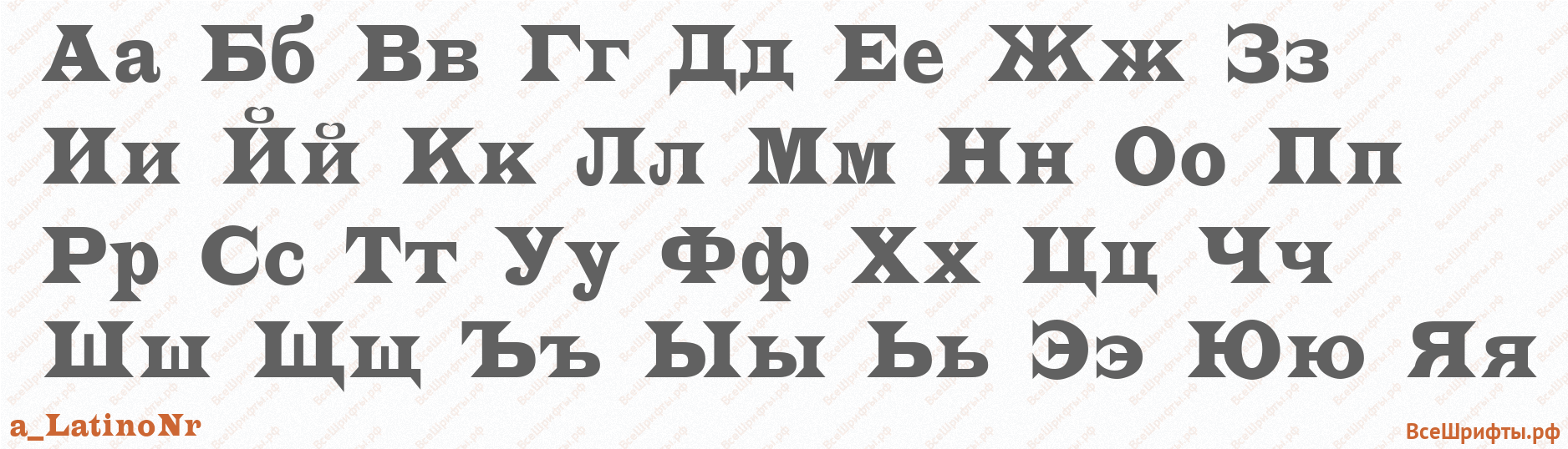 Шрифт a_LatinoNr с русскими буквами Шрифт a_LatinoNr с русскими буквами