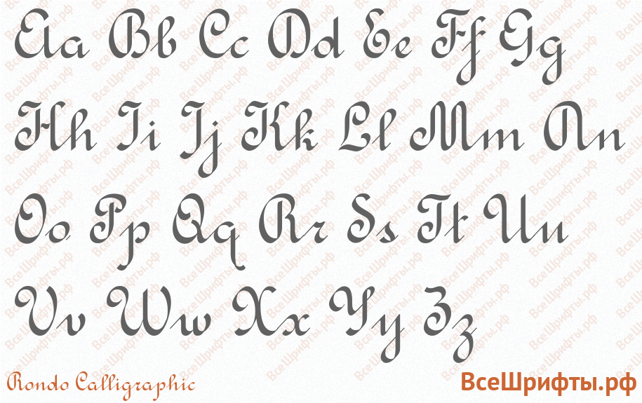 Шрифт Rondo Calligraphic с латинскими буквами Шрифт Rondo Calligraphic с латинскими буквами