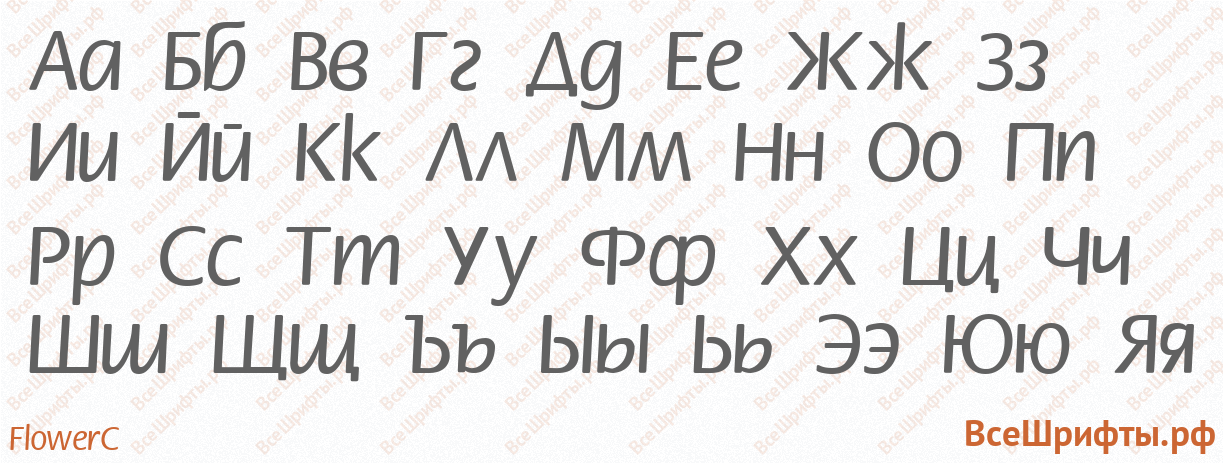 Шрифт FlowerC с русскими буквами Шрифт FlowerC с русскими буквами