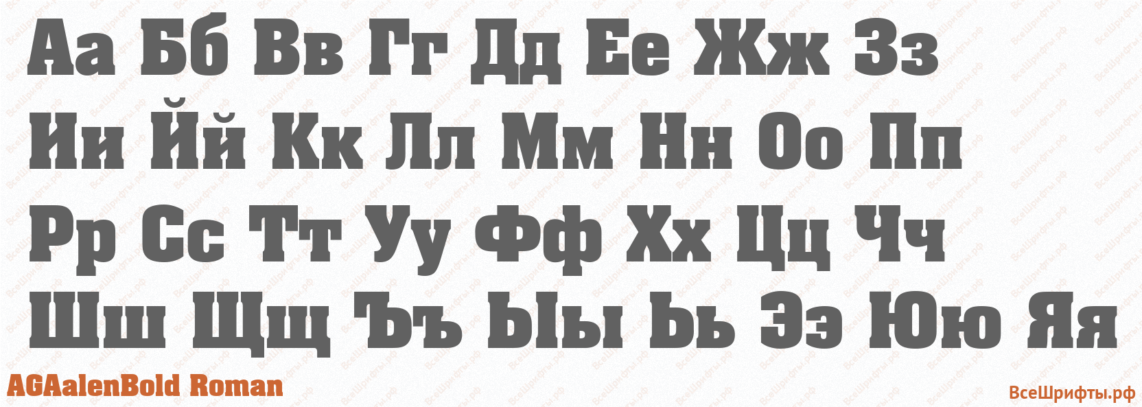 Шрифт AGAalenBold Roman с русскими буквами Шрифт AGAalenBold Roman с русскими буквами