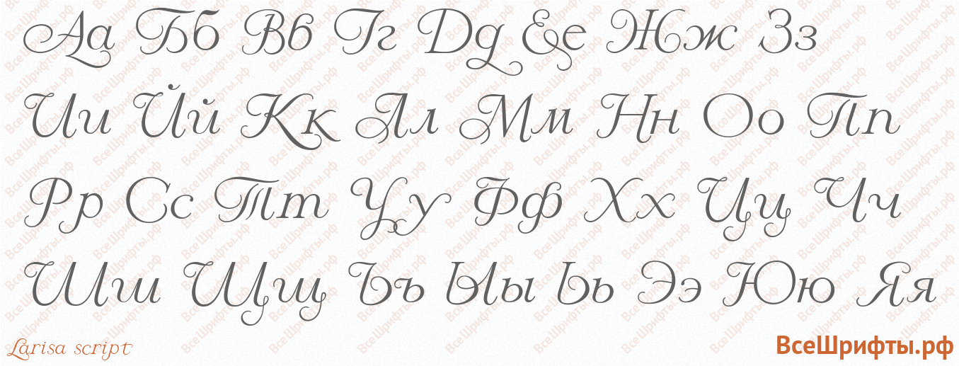 Шрифт Larisa script с русскими буквами Шрифт Larisa script с русскими буквами