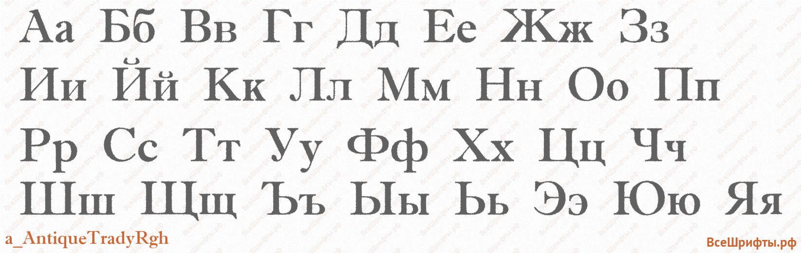 Шрифт a_AntiqueTradyRgh с русскими буквами Шрифт a_AntiqueTradyRgh с русскими буквами