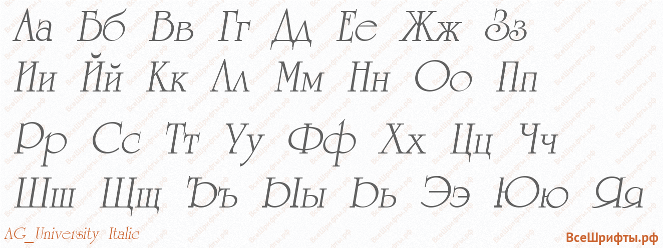 Шрифт AG_University Italic с русскими буквами Шрифт AG_University Italic с русскими буквами