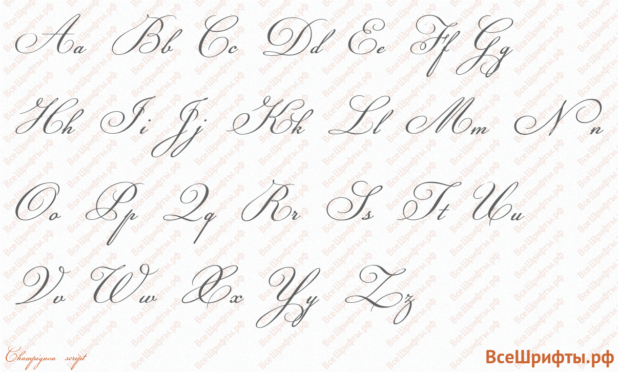 Шрифт Champignon script с латинскими буквами Шрифт Champignon script с латинскими буквами