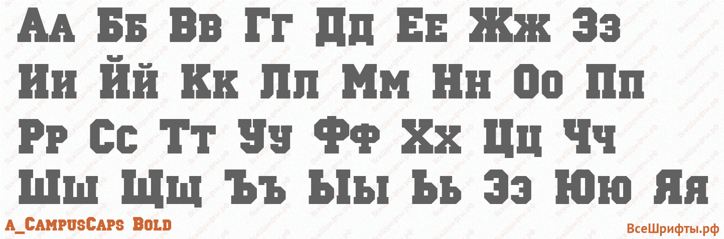 Шрифт a_CampusCaps Bold с русскими буквами Шрифт a_CampusCaps Bold с русскими буквами