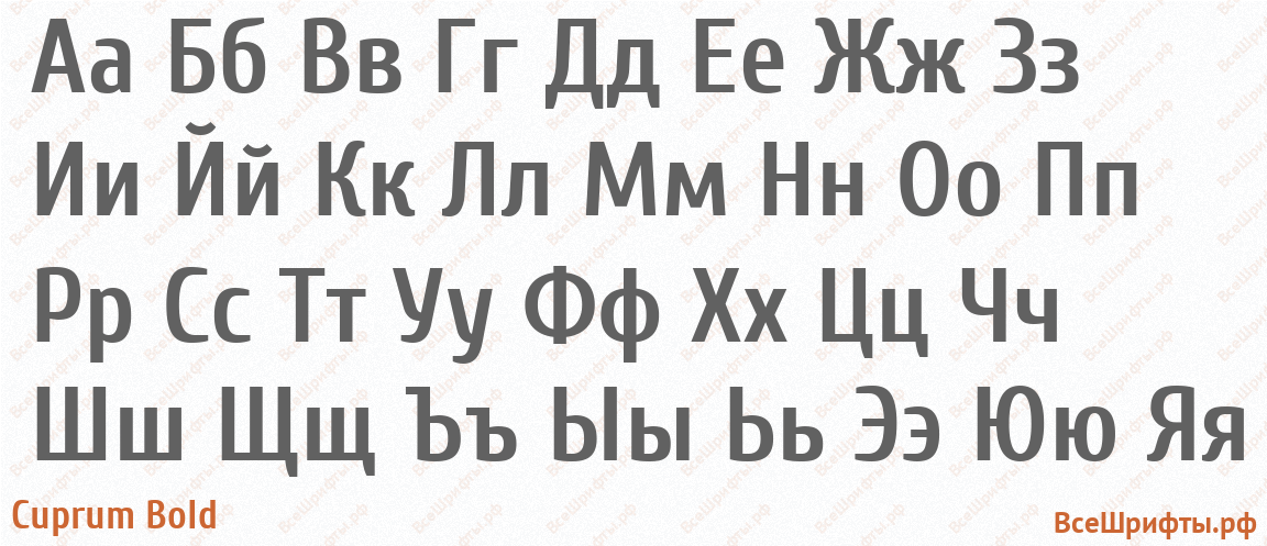Шрифт Cuprum Bold с русскими буквами Шрифт Cuprum Bold с русскими буквами