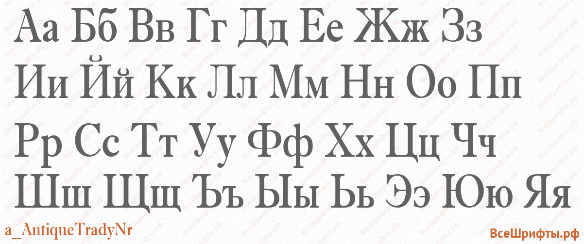 Шрифт a_AntiqueTradyNr с русскими буквами Шрифт a_AntiqueTradyNr с русскими буквами