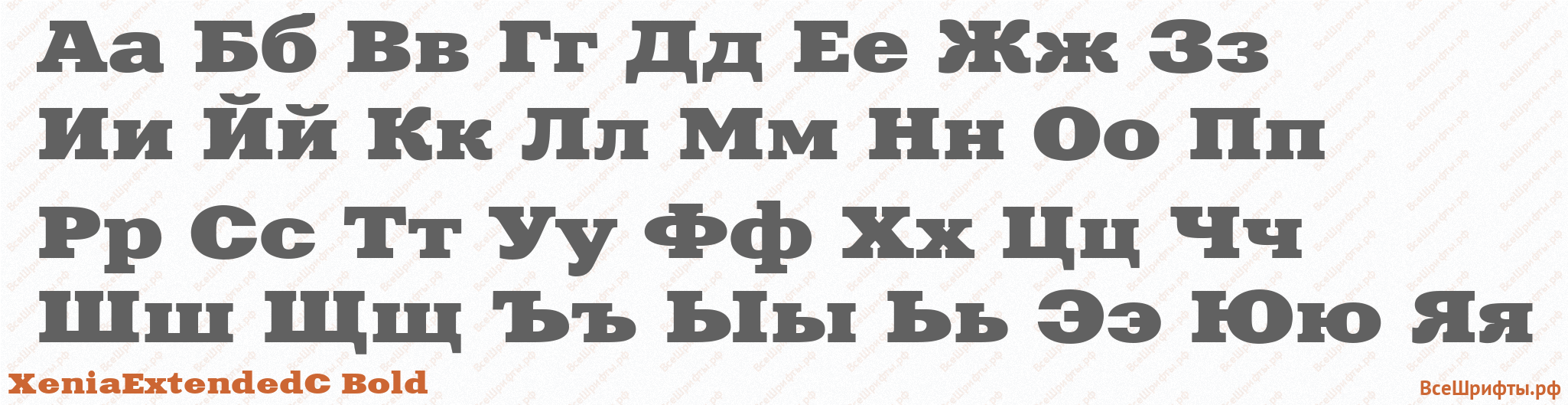 Шрифт XeniaExtendedC Bold с русскими буквами Шрифт XeniaExtendedC Bold с русскими буквами