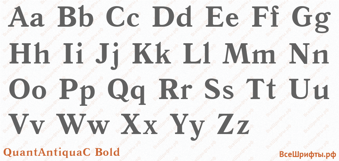 Шрифт QuantAntiquaC Bold с латинскими буквами Шрифт QuantAntiquaC Bold с латинскими буквами