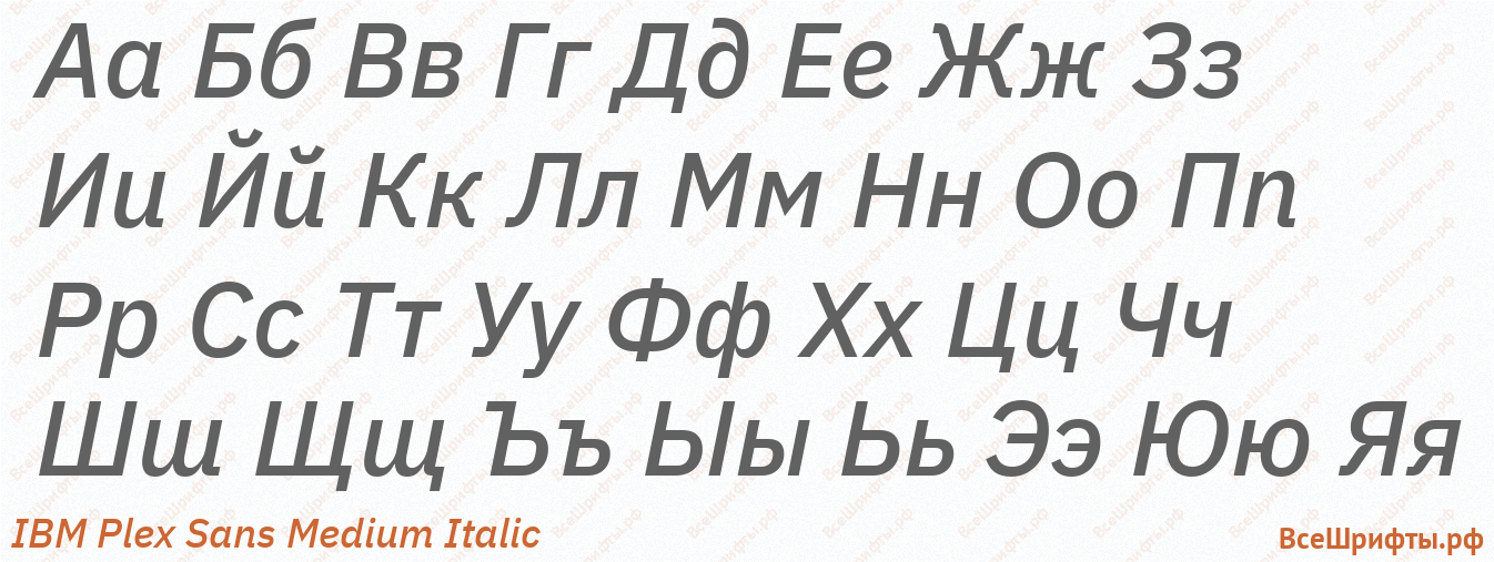 Шрифт IBM Plex Sans Medium Italic с русскими буквами Шрифт IBM Plex Sans Medium Italic с русскими буквами