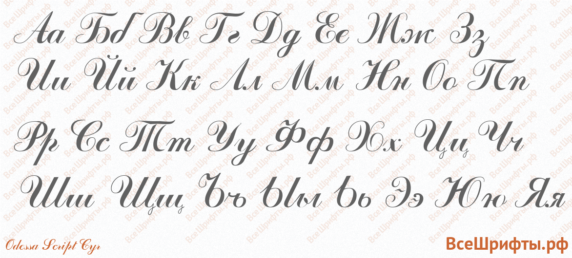 Шрифт Odessa Script Cyr с русскими буквами Шрифт Odessa Script Cyr с русскими буквами