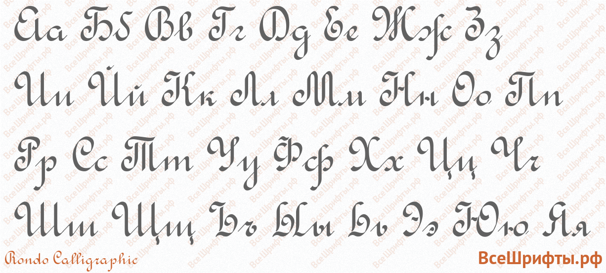 Шрифт Rondo Calligraphic с русскими буквами Шрифт Rondo Calligraphic с русскими буквами